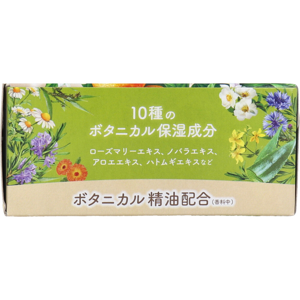 6個セット 温泡 ボタニカルタイム 12錠入