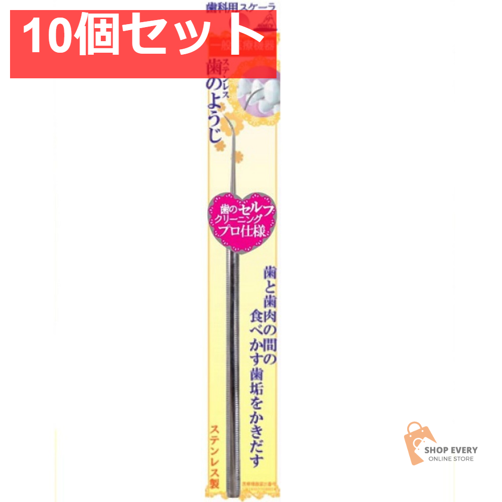 アヌシ ステンレス歯のようじ OL-011 10個セット まとめ売り