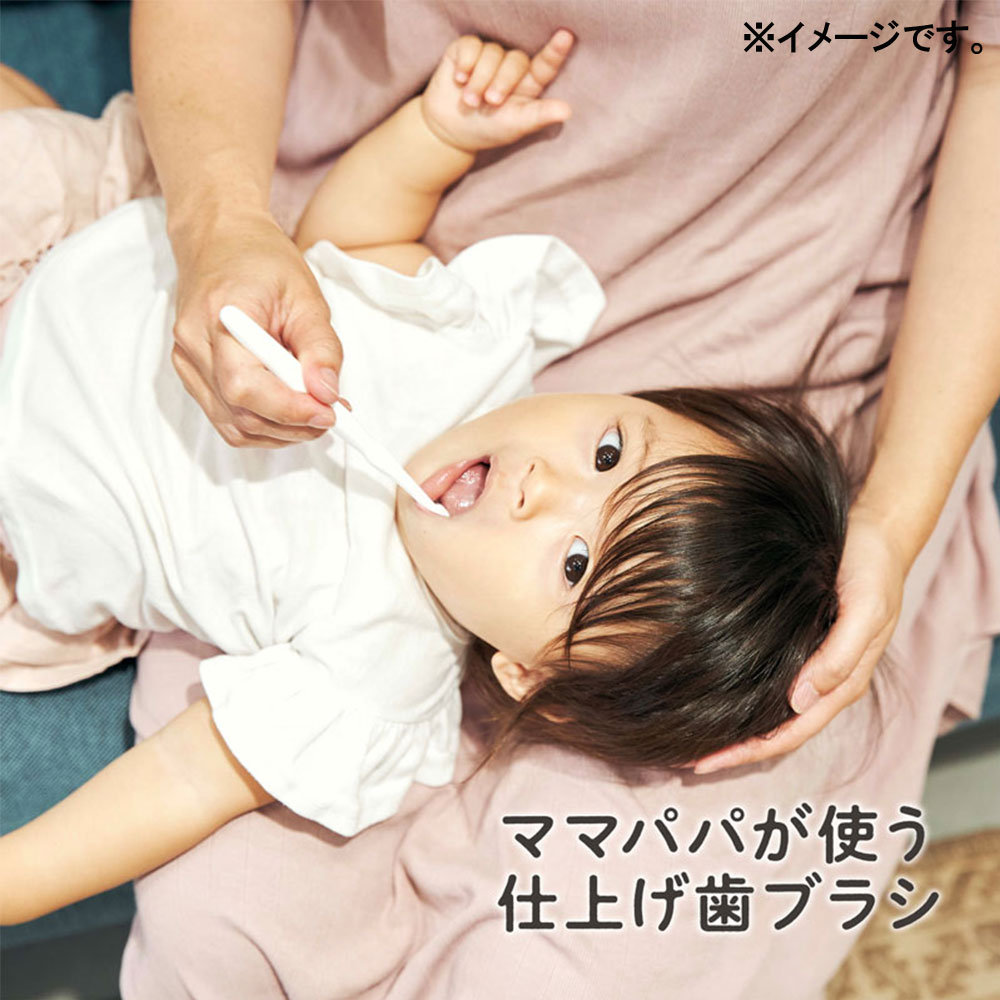 7個セット エジソンの仕上げ歯ブラシ 2本入