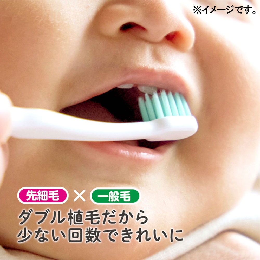 2個セット エジソンの仕上げ歯ブラシ 2本入