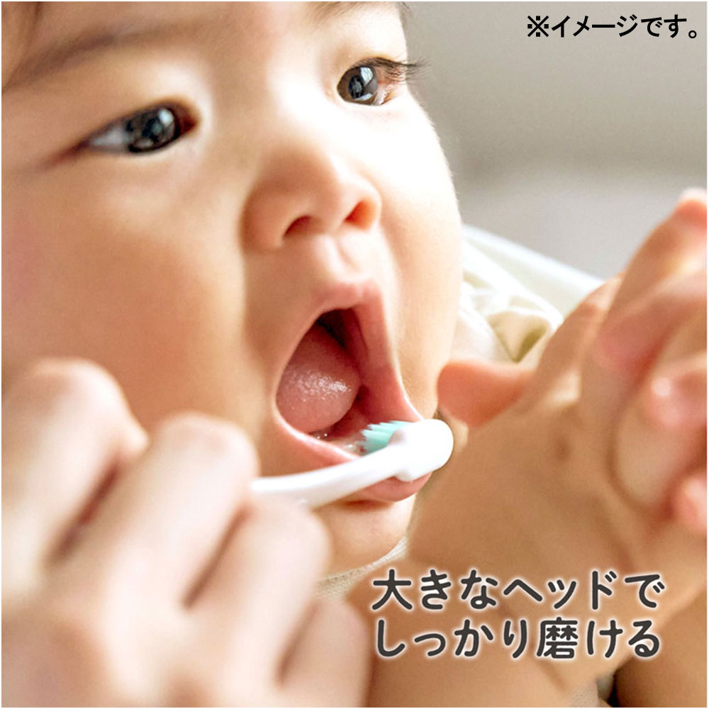 2個セット エジソンの仕上げ歯ブラシ 2本入