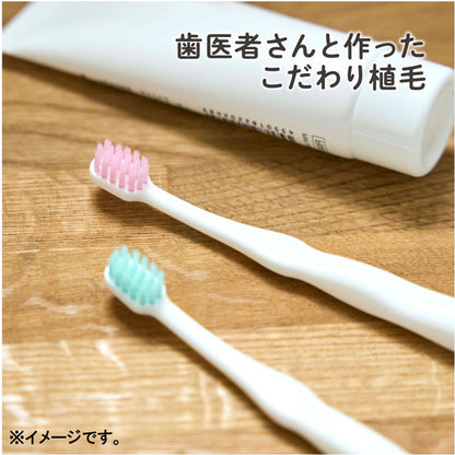 10個セット エジソンの仕上げ歯ブラシ 2本入