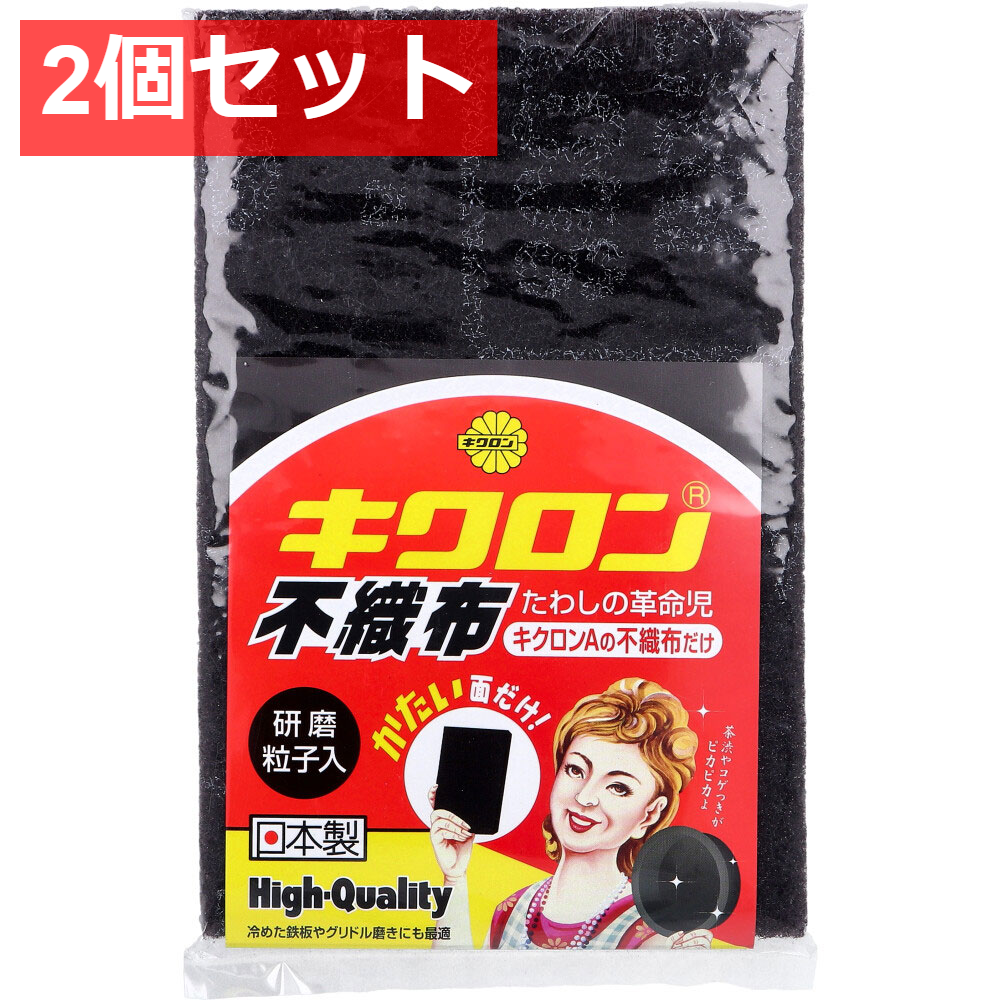 2個セット キクロンAの不織布だけ 1個入