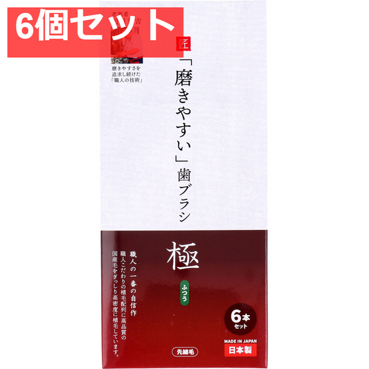 磨きやすい歯ブラシ 極 ふつう 先細毛 6本セット LT-53 6個セット まとめ売り