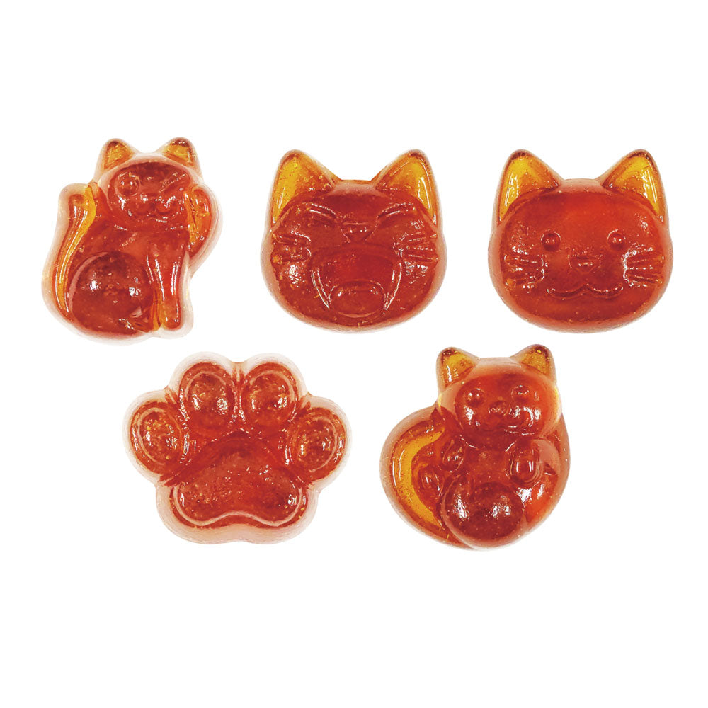 TEA TIME CATS DARJEELING（ティータイムキャッツ ダージリン）50g 6個セット まとめ売り