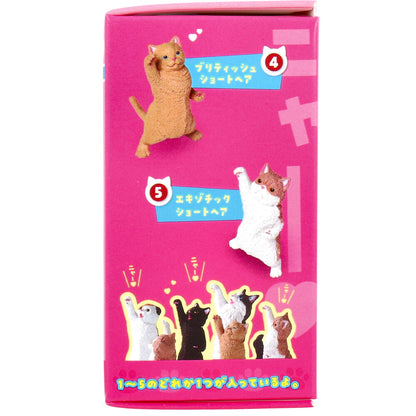 フィギュア NYAoooo！！2 1個入 7個セット まとめ売り