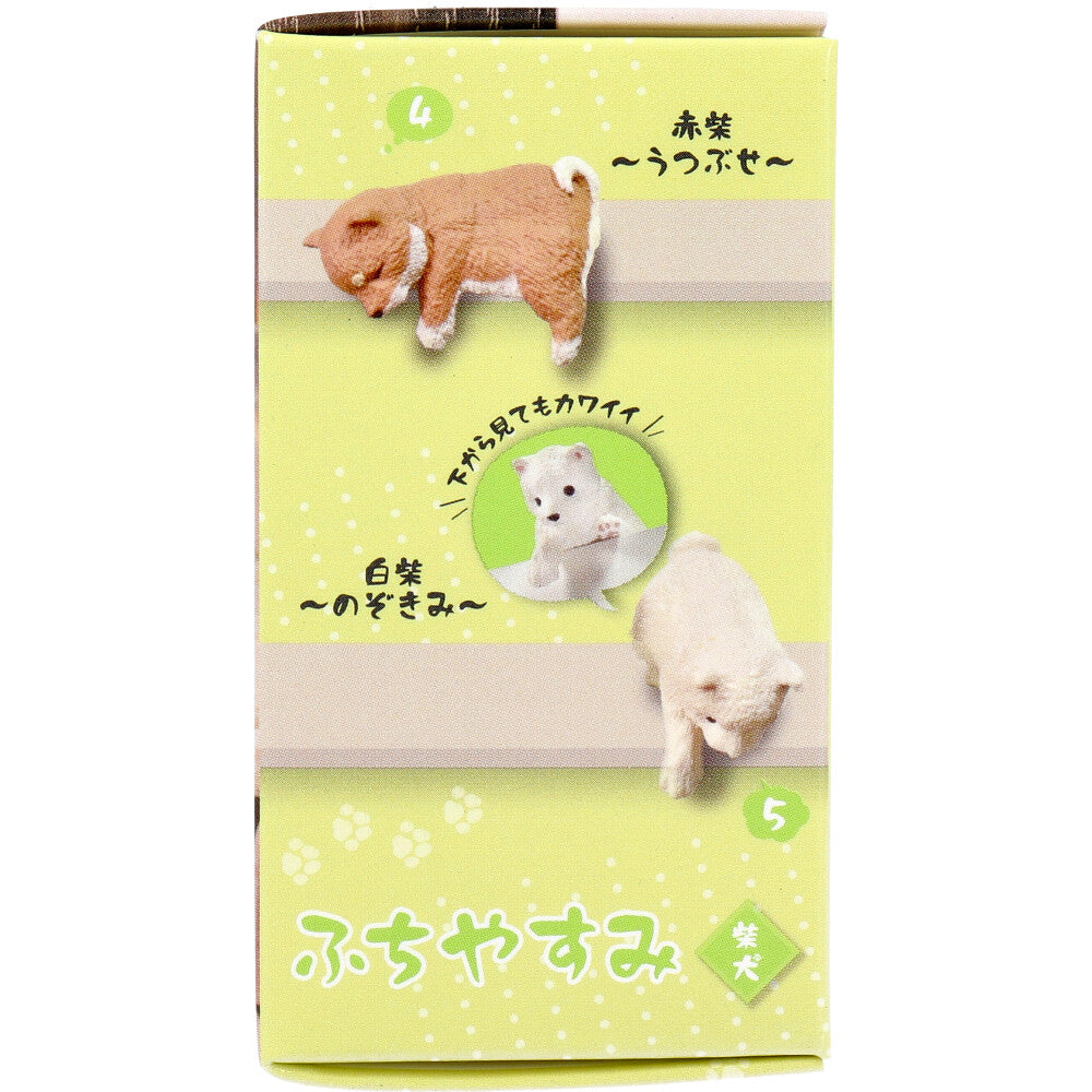 フィギュア ふちやすみ 柴犬 1個入 3個セット まとめ売り