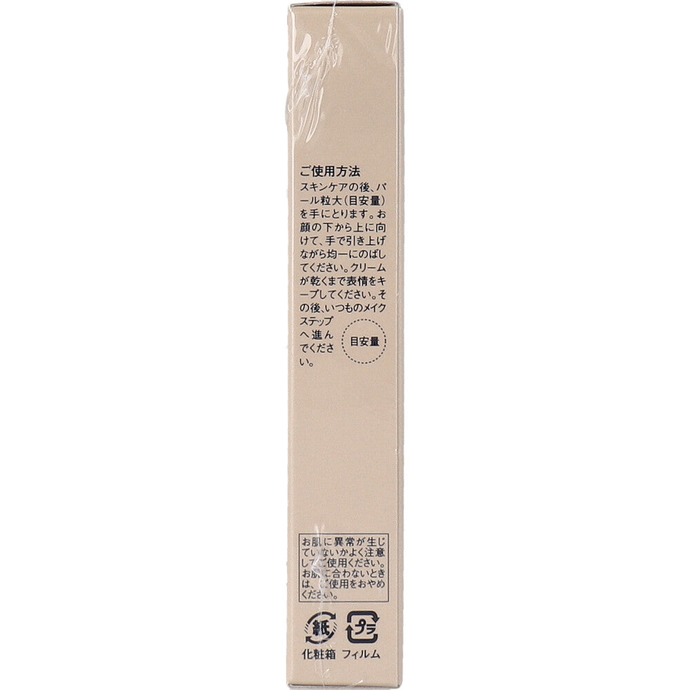そのまま！plus リフティング化粧下地 リッチ 30g 6個セット まとめ売り