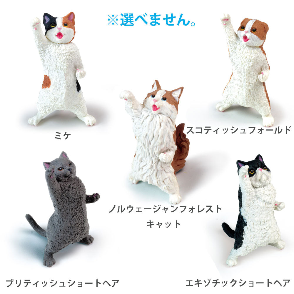 フィギュア NYAoooo！！ 1個入 6個セット まとめ売り