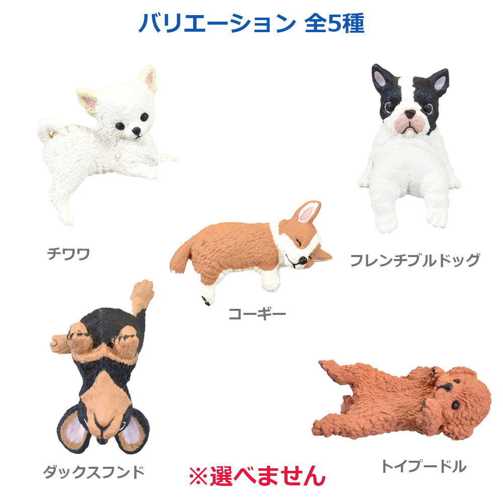 フィギュア ふちやすみ いろいろわんこ BOX 1個入 2個セット まとめ売り