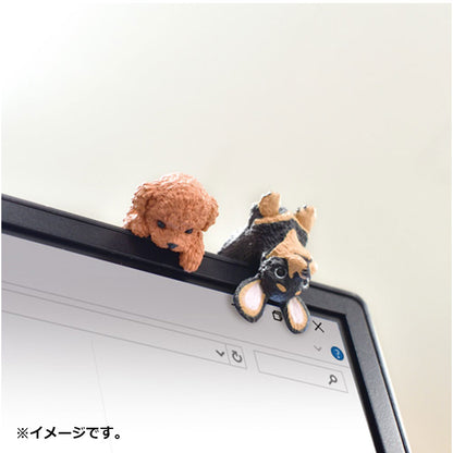 フィギュア ふちやすみ いろいろわんこ BOX 1個入 3個セット まとめ売り