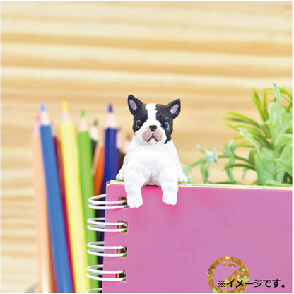フィギュア ふちやすみ いろいろわんこ BOX 1個入 5個セット まとめ売り