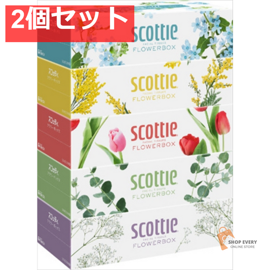 スコッティ ティシュー フラワーボックス 500枚（250組）×5箱 2個セット まとめ売り