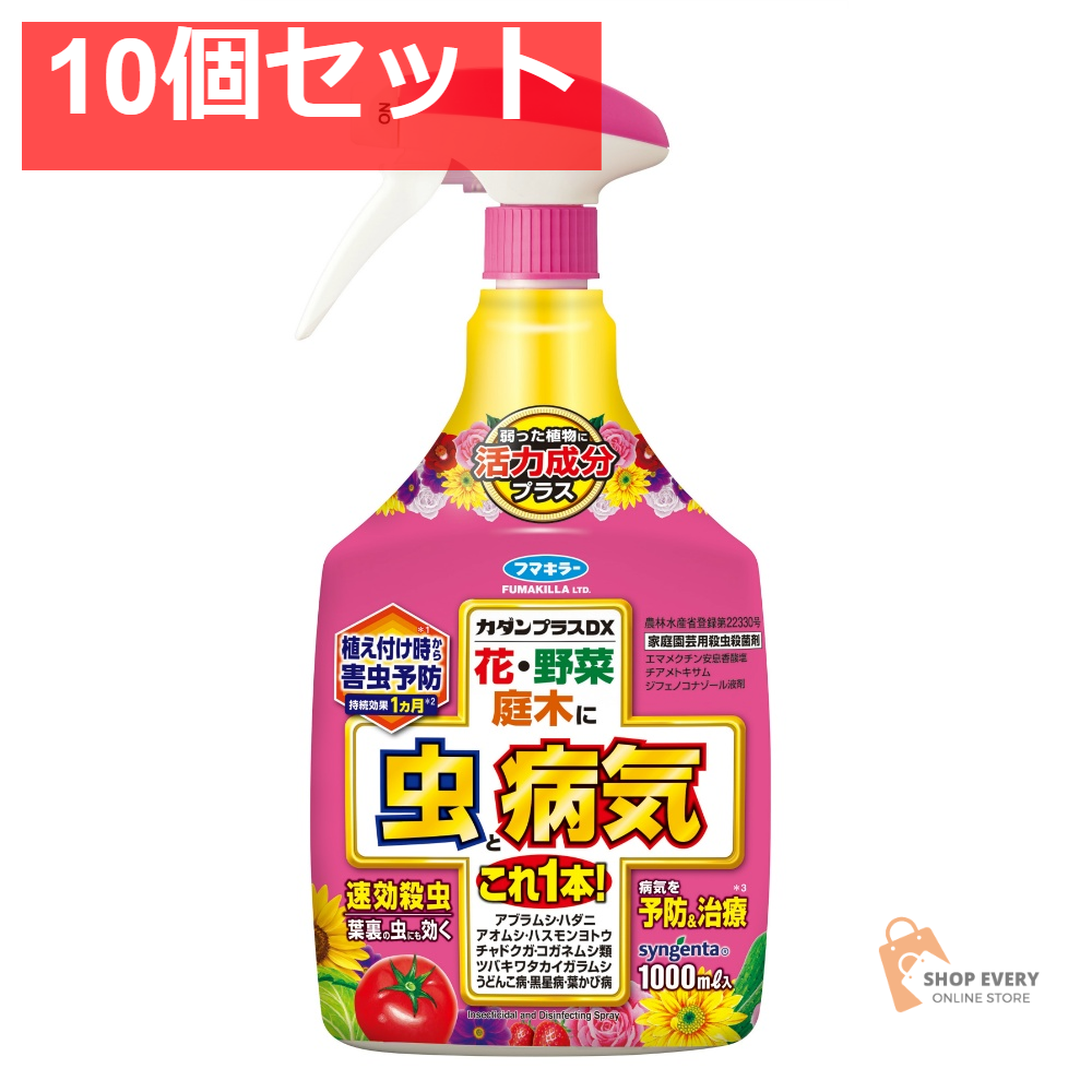 カダンプラスDX1000ML 10個セット まとめ売り