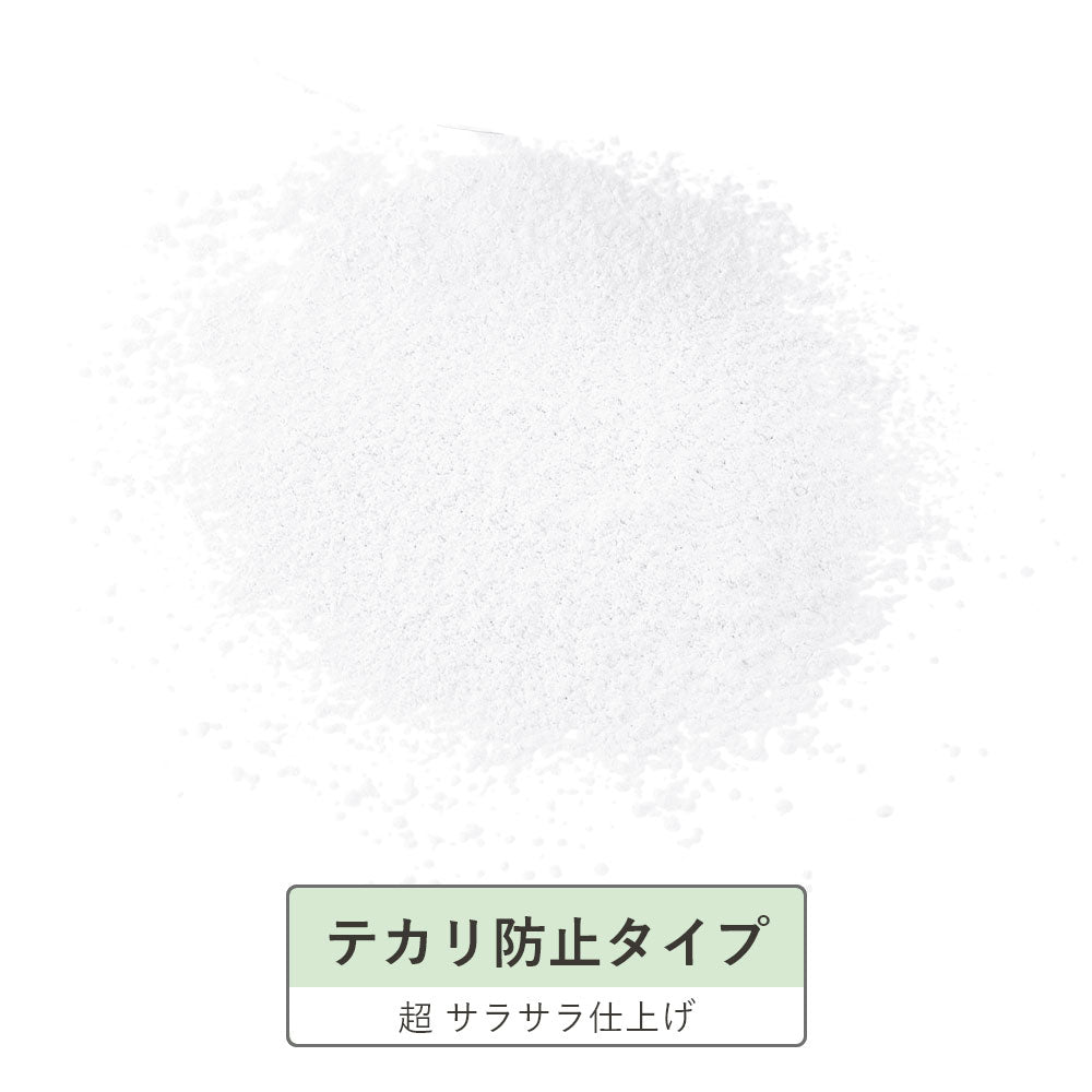 モイストラボ ルースパウダー テカリ防止タイプ 10個セット まとめ売り