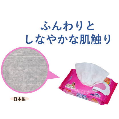 ハビナース トイレに流せるおしりふき 大判厚手 40枚入 6個セット まとめ売り