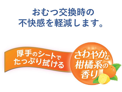 ハビナース トイレに流せるおしりふき 大判厚手 40枚入 9個セット まとめ売り