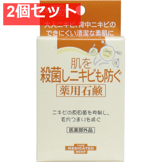 肌を殺菌しニキビも防ぐ薬用石鹸 110g 2個セット まとめ売り
