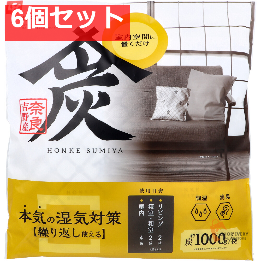 調湿・消臭木炭 本家炭屋 スクエアタイプ L 1個入 6個セット まとめ売り