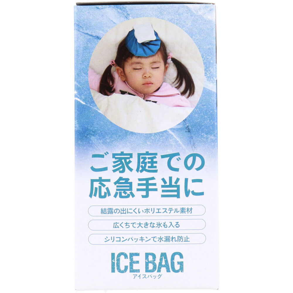 トプラン アイスバッグ ICE BAG 小さめサイズ 広くちタイプ 約400cc TKY-75S 2個セット まとめ売り