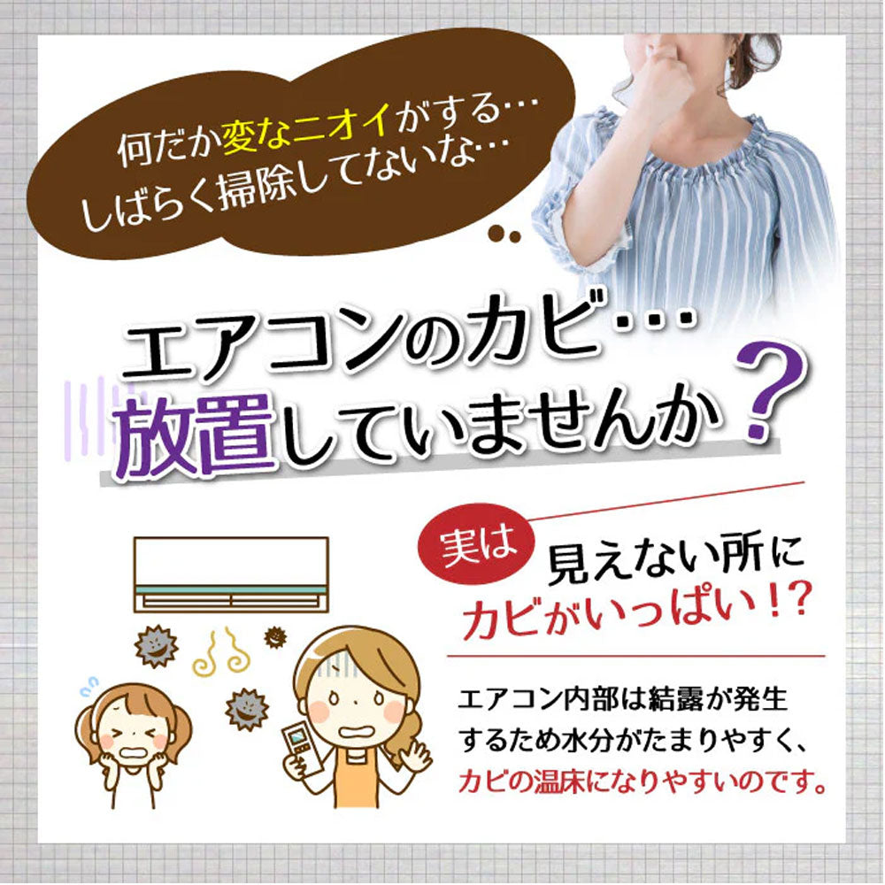 エアコンカビトルデス エアコンカビ取りスプレー 80mL 9個セット まとめ売り