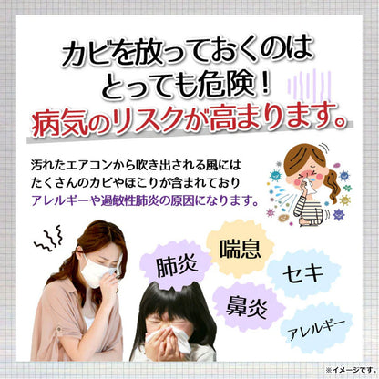 エアコンカビトルデス エアコンカビ取りスプレー 80mL 4個セット まとめ売り