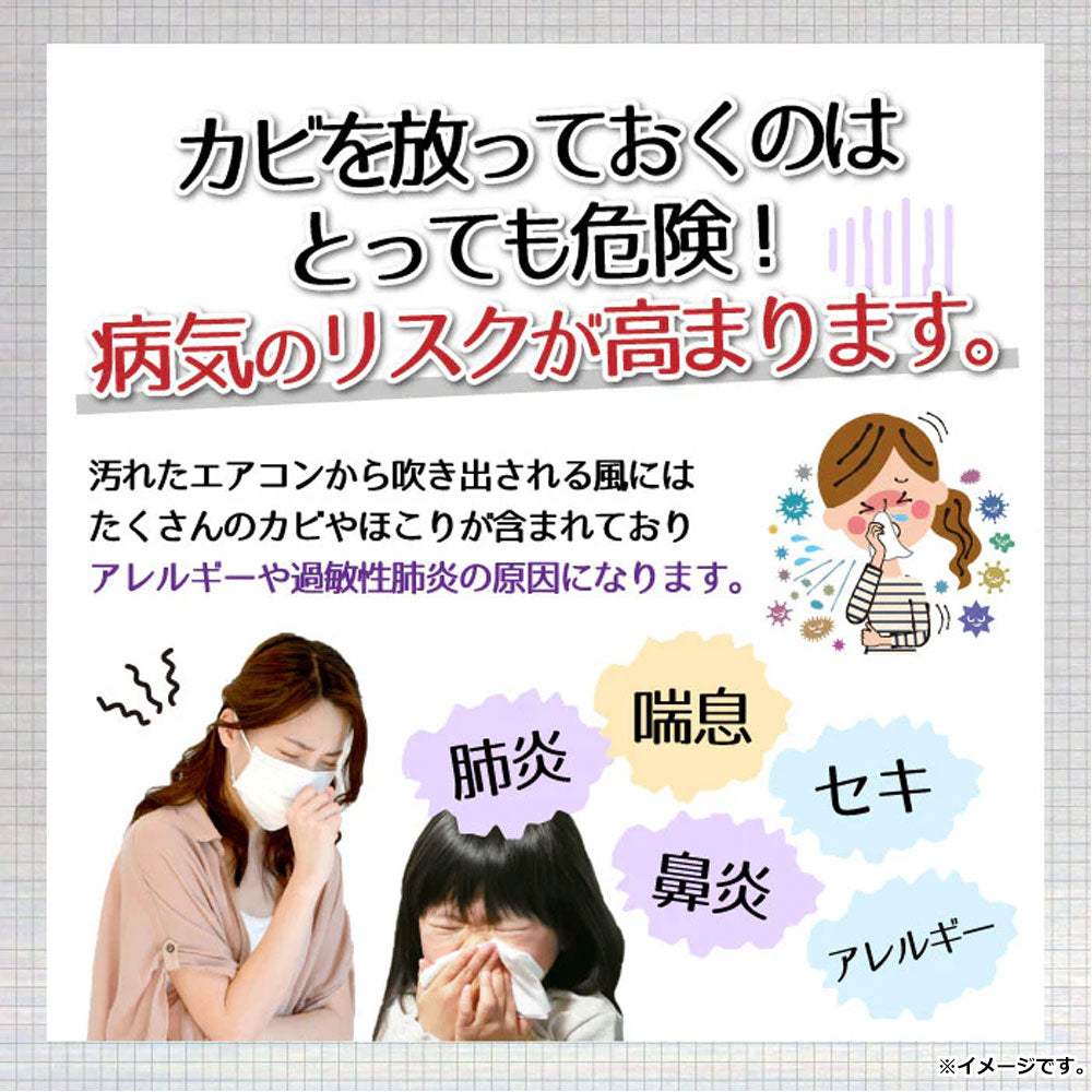 エアコンカビトルデス エアコンカビ取りスプレー 80mL 9個セット まとめ売り