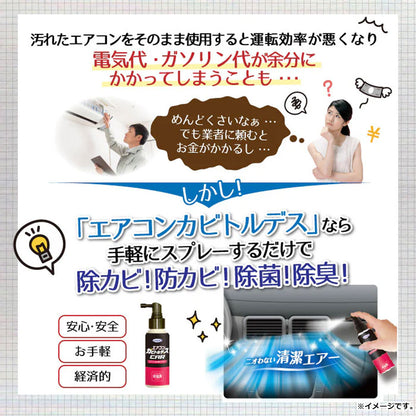エアコンカビトルデス エアコンカビ取りスプレー 80mL 3個セット まとめ売り