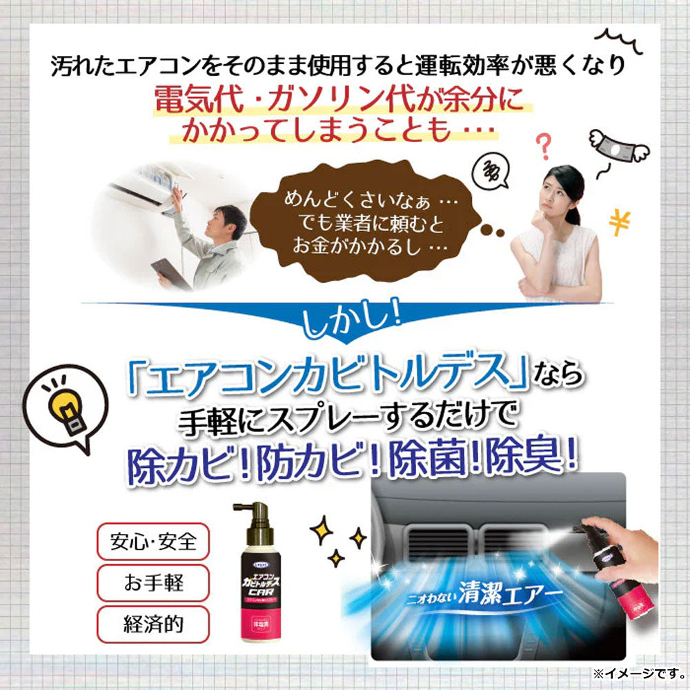 エアコンカビトルデス エアコンカビ取りスプレー 80mL 10個セット まとめ売り