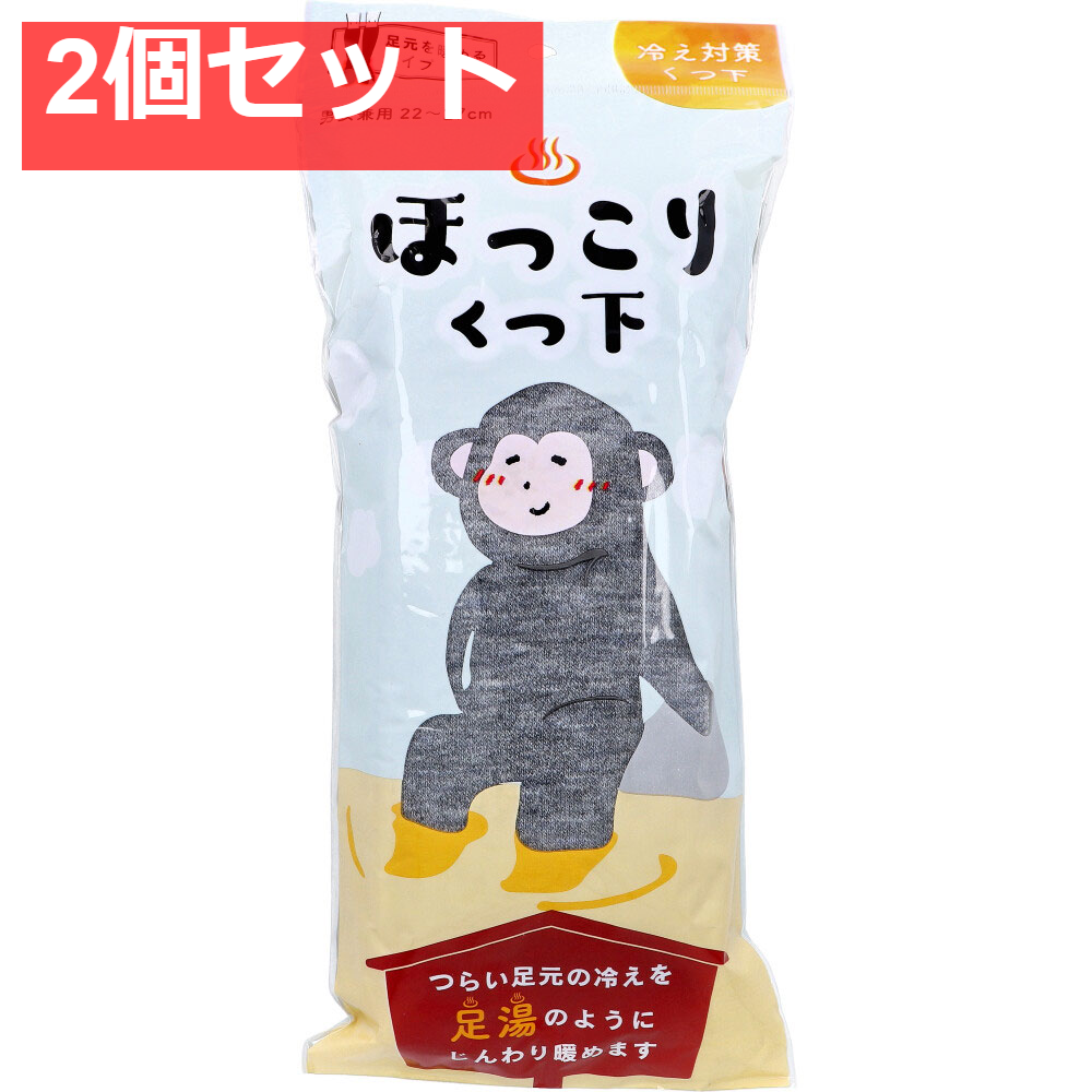 ほっこりくつ下 足元を暖めるタイプ 男女兼用 22～27cm グレー 1足入 2個セット まとめ売り
