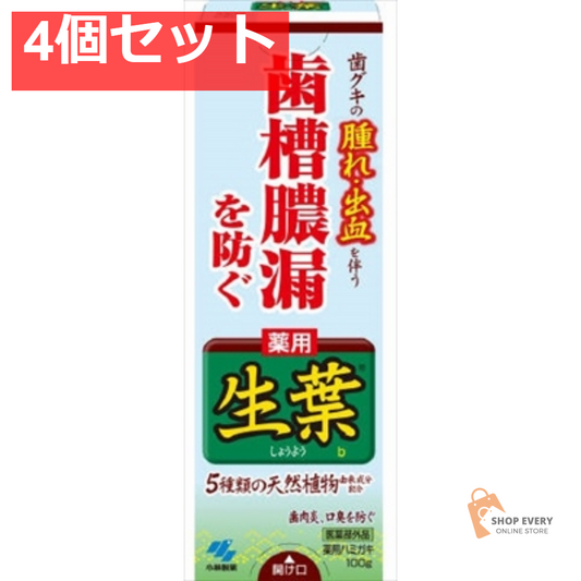 薬用ハミガキ生葉 100G 4個セット まとめ売り