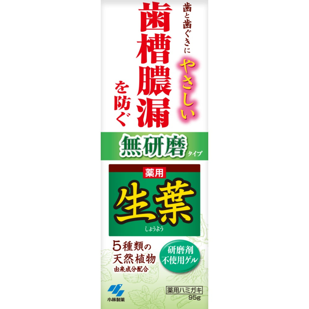 小林製薬 生葉 無研磨タイプ 95g 10個セット まとめ売り