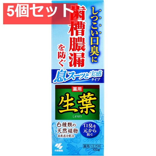 薬用 生葉 息スーッと実感タイプ 100g 5個セット まとめ売り