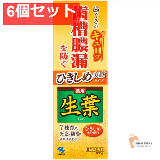 ひきしめ生葉100G 6個セット まとめ売り