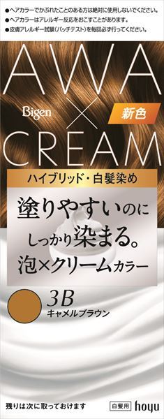 ビゲン 泡クリームカラー 3B キャメルブラウン