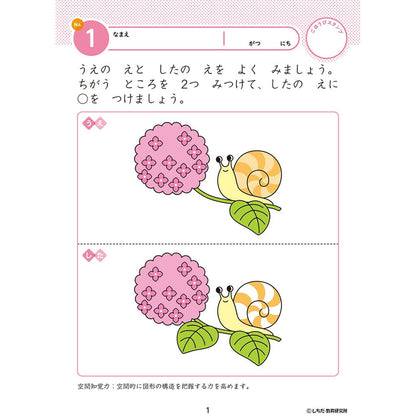 七田式 知力ドリル 2・3さい みぎのう 2個セット まとめ売り