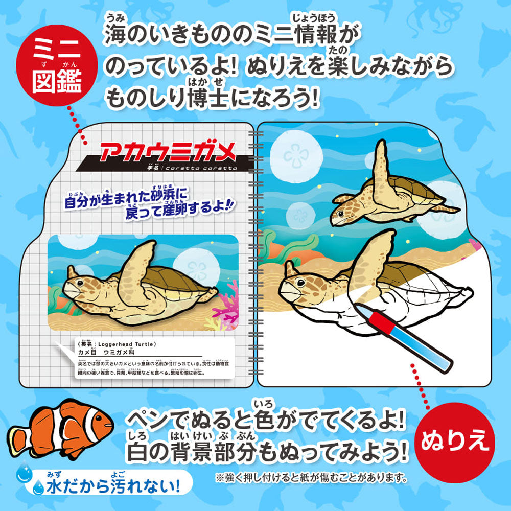 水ぬりえ 海のいきもの図鑑 1セット 10個セット まとめ売り