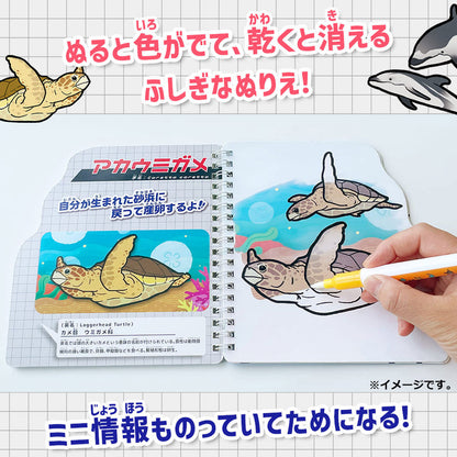 水ぬりえ 海のいきもの図鑑 1セット 3個セット まとめ売り