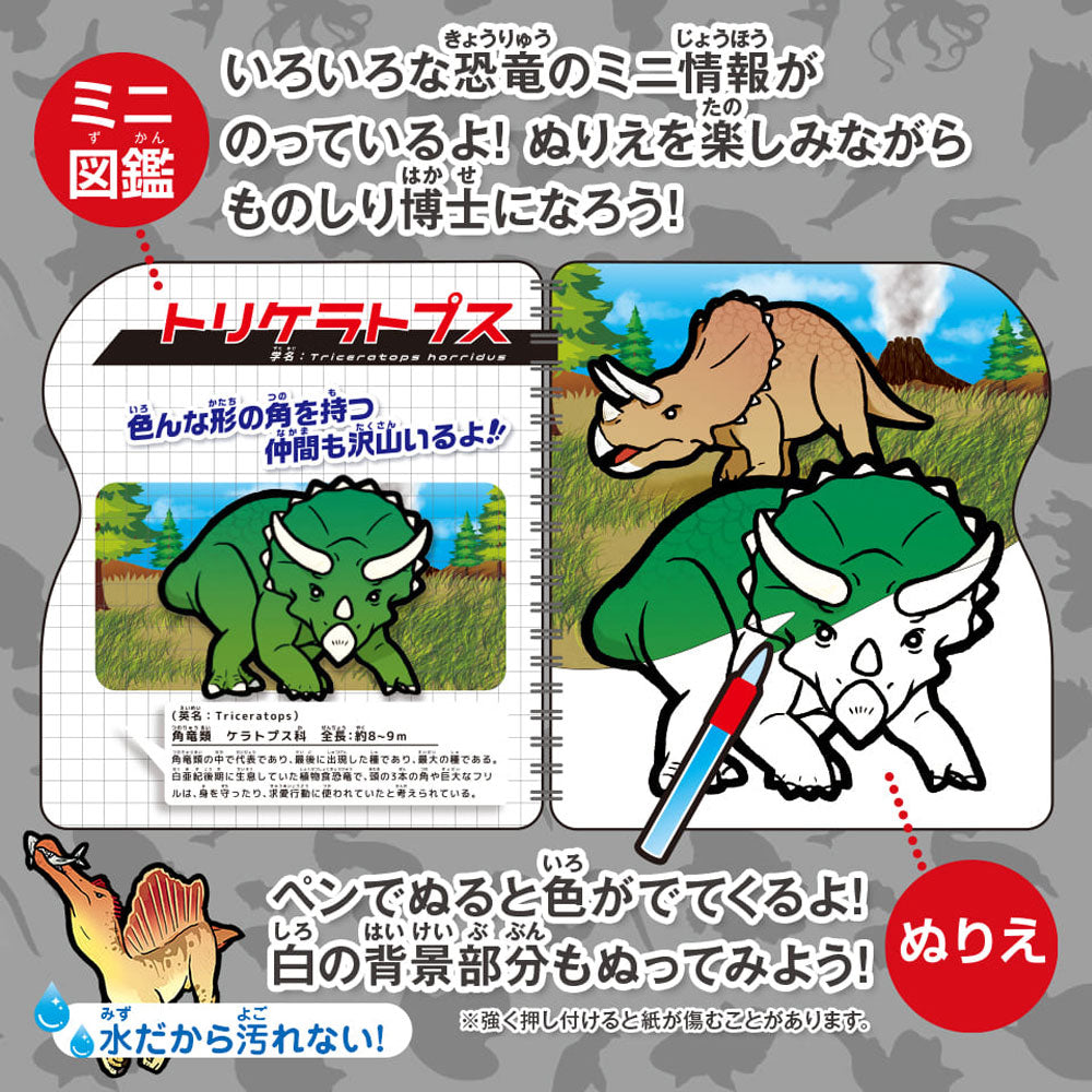水ぬりえ わくわく恐竜図鑑 1セット 9個セット まとめ売り