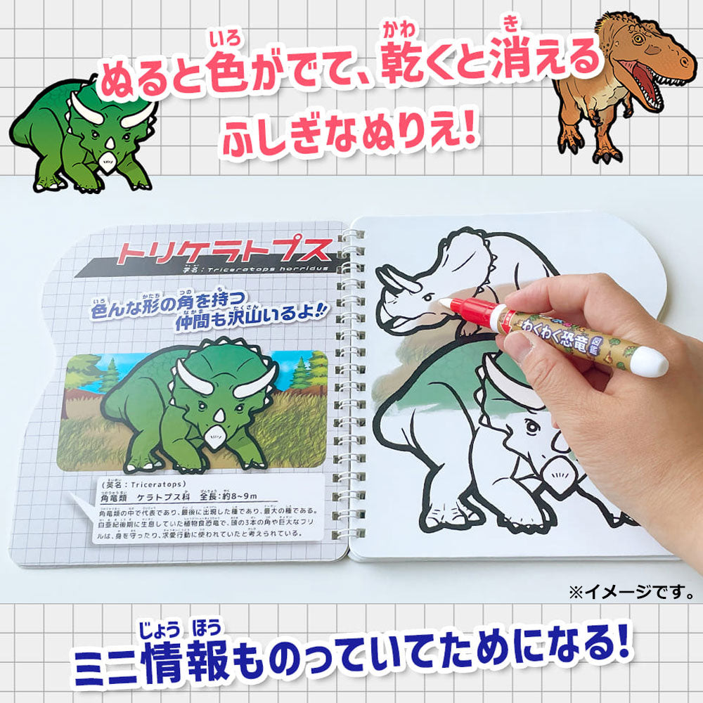 水ぬりえ わくわく恐竜図鑑 1セット 4個セット まとめ売り