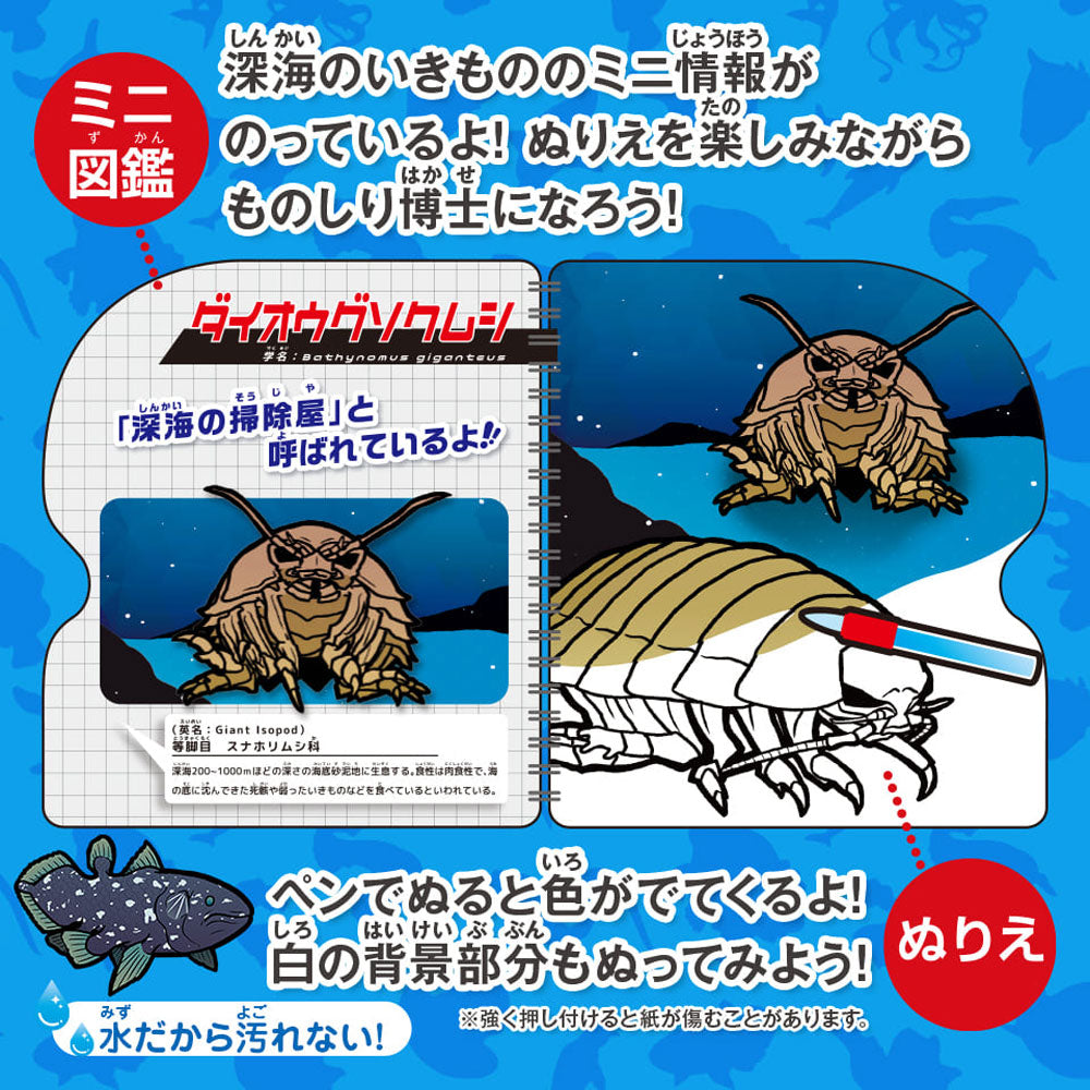 水ぬりえ 深海のいきもの図鑑 1セット 8個セット まとめ売り