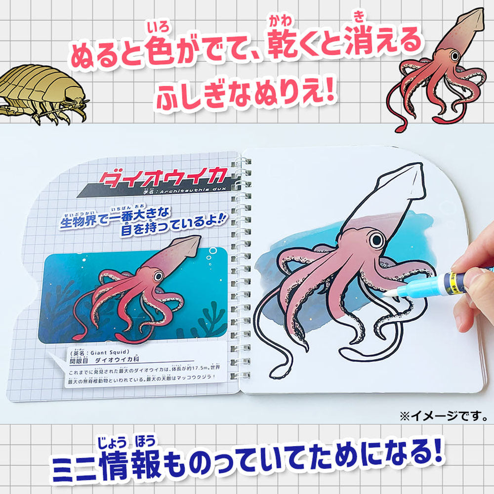 水ぬりえ 深海のいきもの図鑑 1セット 8個セット まとめ売り